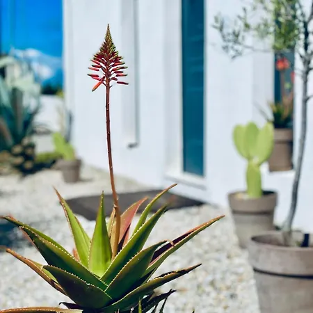 Apartament Soulbreeze Kos, Haus 3 *