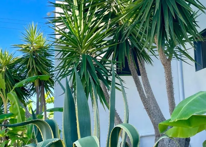 Soulbreeze Kos, Haus 3 * Platánion