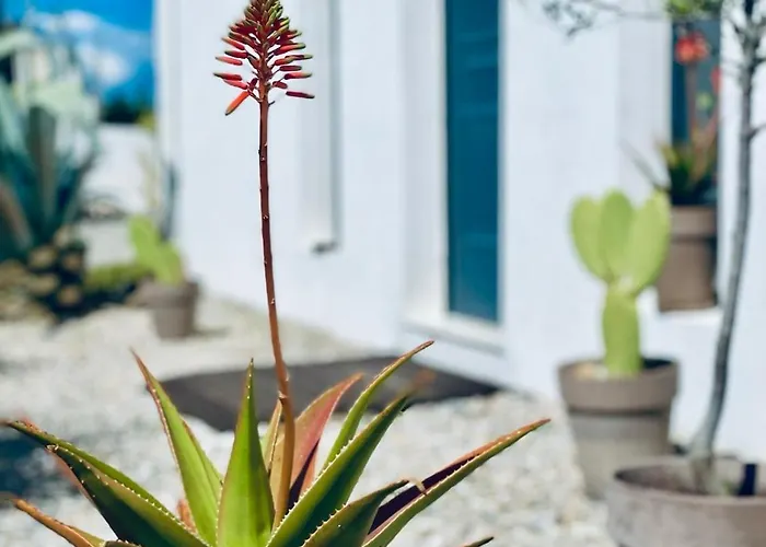 Lejlighed Soulbreeze Kos, Haus 3 *