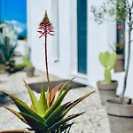 Apartmán Soulbreeze Kos, Haus 3 *