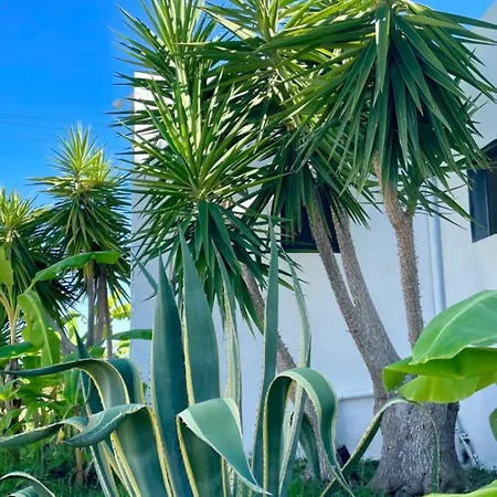 Soulbreeze Kos, Haus 3 * Platánion